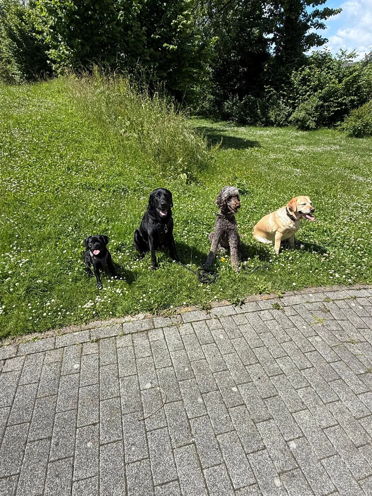 Gruppenfoto