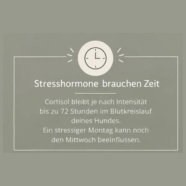 stresshormone